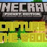 Capture the Wool — командные сражения